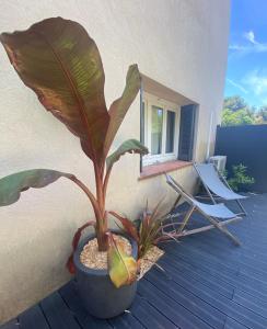 Appartement sol y mar 2 283 Avenue du Pebrier 83370 Saint-Aygulf Provence-Alpes-Côte d\'Azur