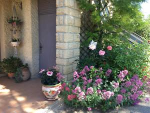 Appartement soleil lotus 277 Chemin de Méjannes 30560 Saint-Hilaire-de-Brethmas Languedoc-Roussillon