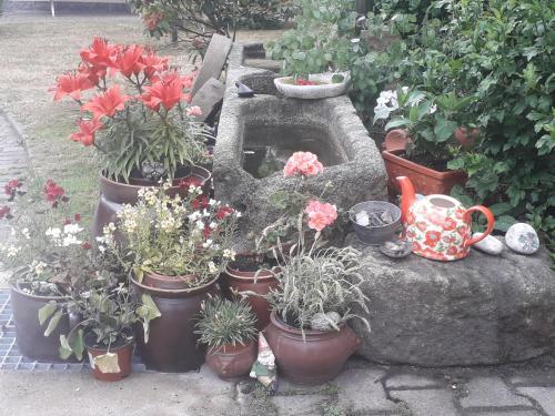 Sommerfrische