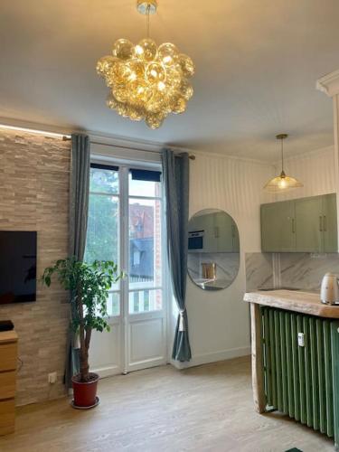 Somptueux appartement 25m2, balcon, plein centre