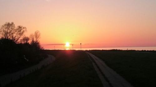 Sonne 247