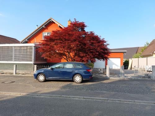 Sonnige Ferienwohnung bei Familie Köhler