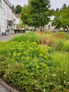 Sophienstrasse Appartement
