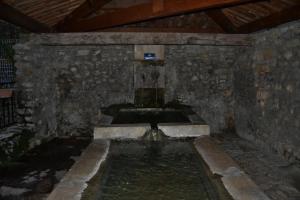 Sous L'Olivier