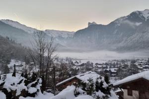 South side Samoens studio in Falconniere with an amazing view