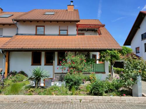 Soutterain - Wohnung mit Senkgarten