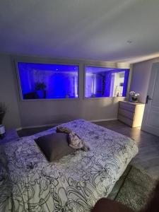 Spa Apartment