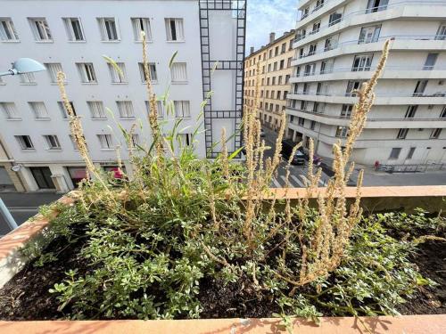 Spacieux appartement lumineux+parking+balcon