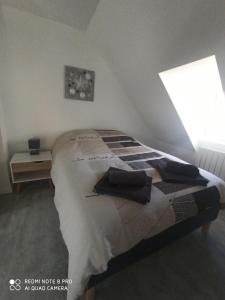 Appartement Spacieux et confortable en hyper centre N°5 14 Rue nationale 53500 Ernée Pays de la Loire
