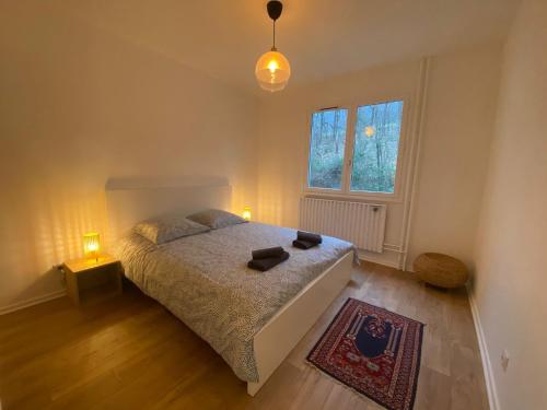 Spacieux logement au pied du Vercors