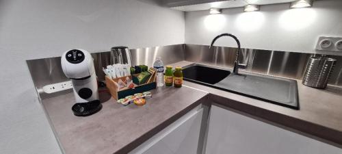 Spacieux studio neuf Presqu'île