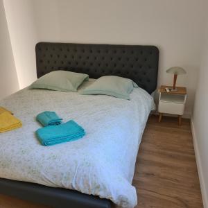 Appartement Spacieux t2 climatisé a proximité des plages 35 Allée des Jardins 74500 Maxilly-sur-Léman Rhône-Alpes