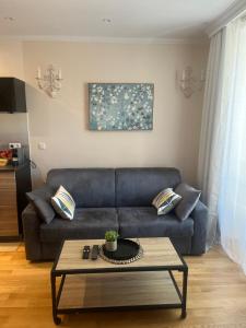 Spacious 2 bedroom apt - Ternes