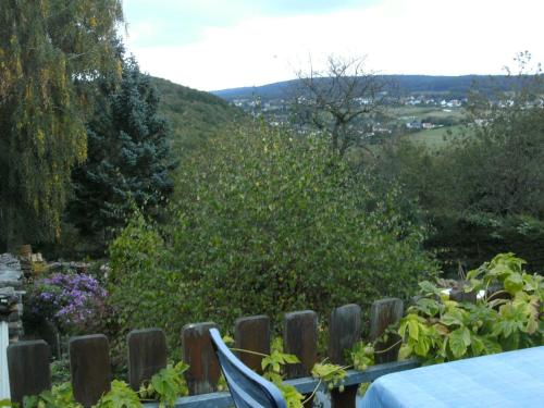 Spacious Apartment in Morbach with Garden