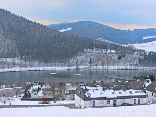 Spacious Apartment in Niedersfeld near Ski Area