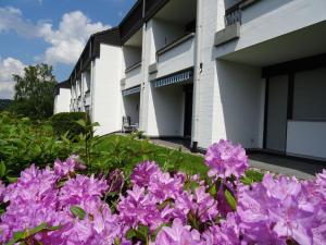 Spacious Apartment in Niedersfeld near Ski Area