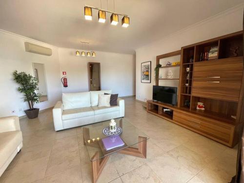 Spacious apartment with pool