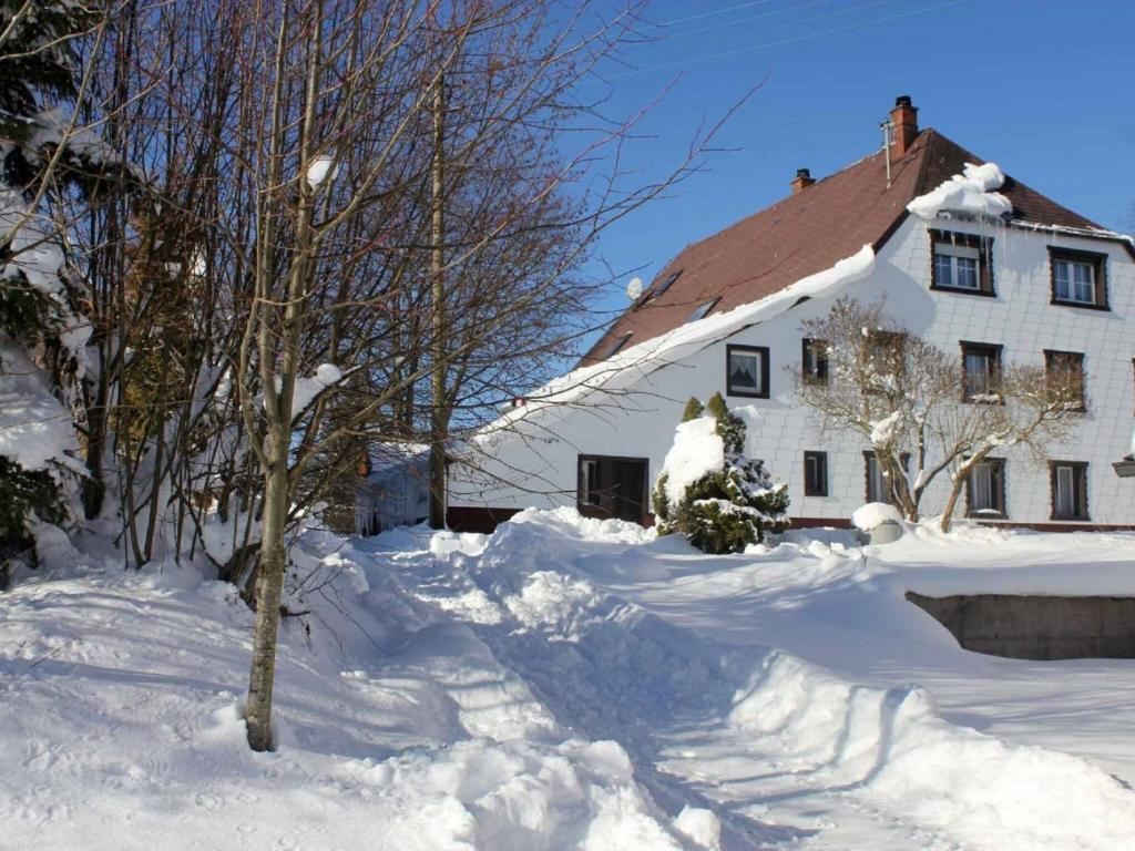 Appartement Spacious Attic Apartment in Lauterbach in the Black Forest  00026 Lauterbach