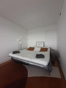 Spacious flat 100M2 Paris Nation