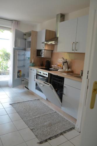 Spacious Flat Garden&Parking 5min Basel Tram Bus Airport