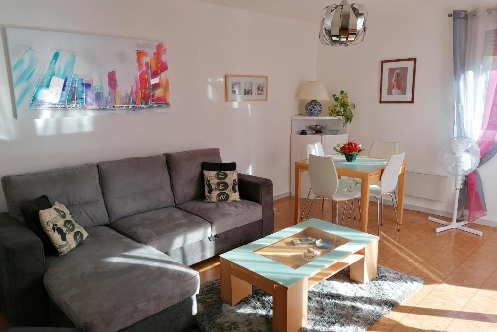 Appartement Spacious flat terrace beautiful view Tram CDirect access Grenoble #A4 12 Rue de Pacalaire 38170 Seyssinet-Pariset