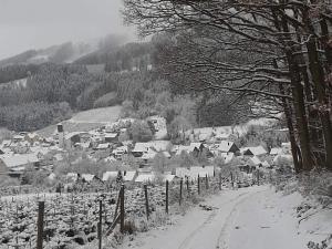 Spacious holiday home in Bestwig for groups