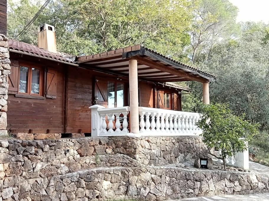 Spatzennest