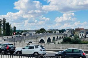 Splendid apartment at the foot of the castle of Amboise - View of the Loir