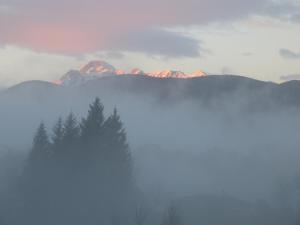 Splendide vue Pyrénées, Rez de jardin 2 chambres