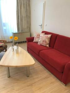 Sport-Alpin-Wohnung-4