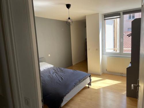 St-Étienne, appartement spacieux proche Centre ville