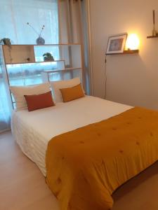 St Germain en Laye- La défense 17mn -STUDIO FIBRE -Terrasse