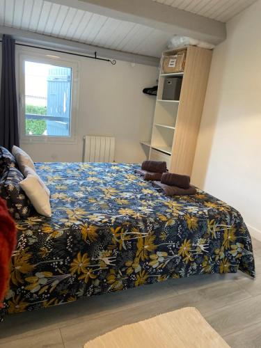 ST PALAIS Appartement cocooning