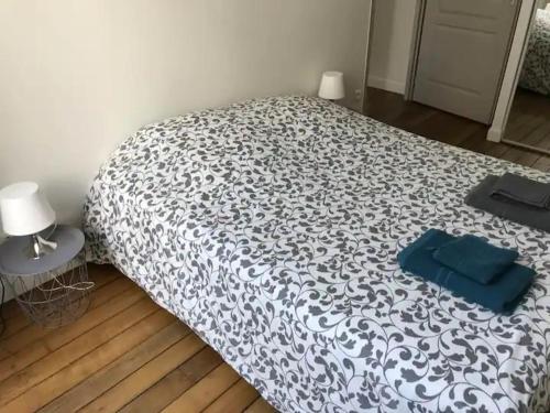 Appartement St-Thomas Zola Reims france