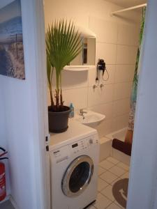 Appartement Stadtnah an der Förde 7 HM1 7 Katharinenstraße 1 OG HH 24937 Flensbourg Schleswig-Holstein