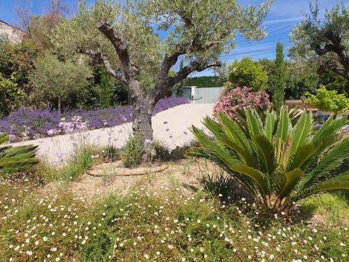 Appartement standing dans villa hauteur de Cannes Vallauris france