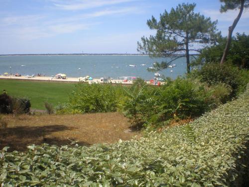 Appartement Appartement standing front de mer Arcachon 51 Avenue du Parc Arcachon