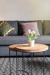 Stanford/ Cosy - Centre-Ville Rouen /Netflix-Wifi/