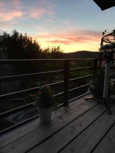Stargazer Studio
