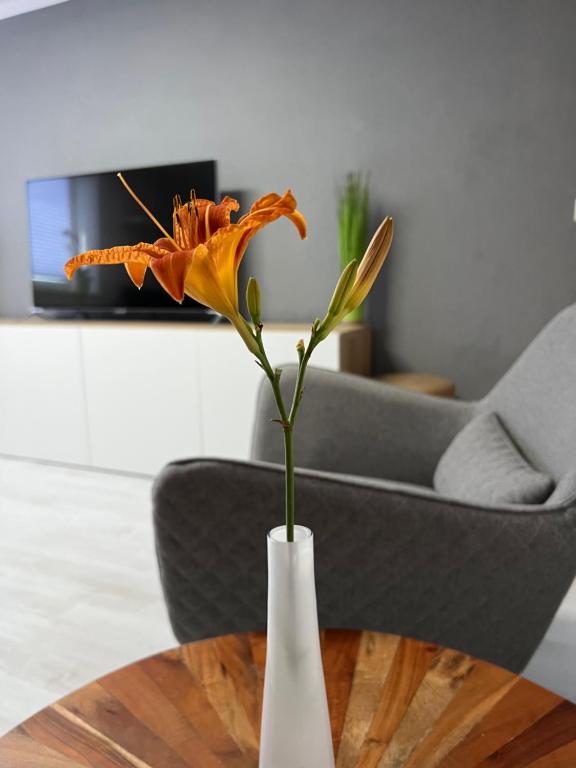 Appartement stay!apart Gieckau Gieckauer Hauptstraße 45 06618 Naumbourg