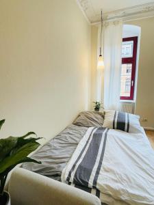 Stilvolle Altbauwohnung am Rande der Dresdner Neustadt