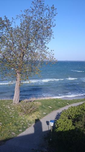 Strandappartement Steinberghaff \