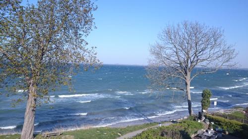 Strandappartement Steinberghaff \