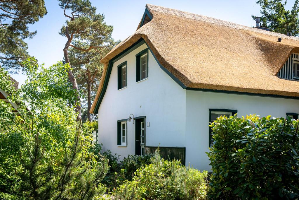 Strandhaus Düne 19 - Freude Zwischen den Kiefern 12A, 18347 Neuhaus