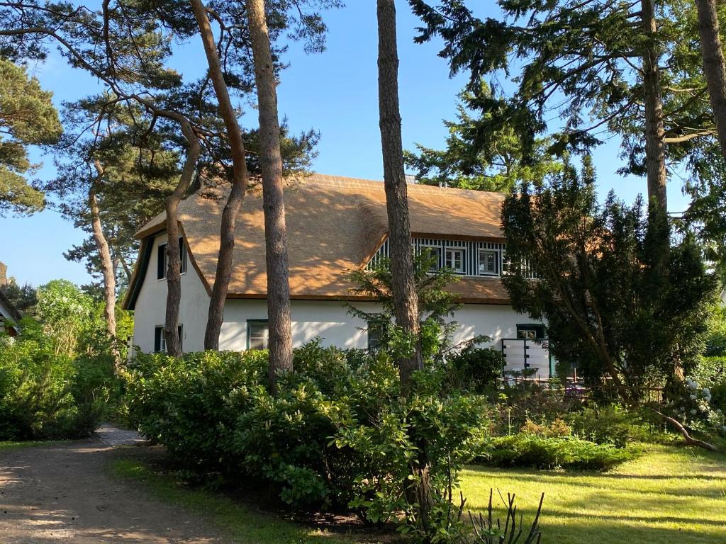 Strandhaus Düne 19 - Glück Zwischen den Kiefern 12A, 18347 Neuhaus