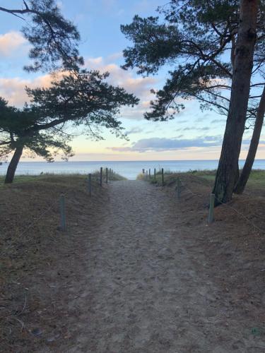 Strandkorb