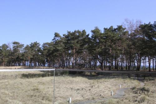 Strandresidenz Appartement Graugans A06 inklusive 1 Strandkorb
