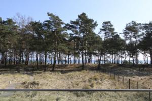 Strandresidenz Appartement Graugans A06 inklusive 1 Strandkorb