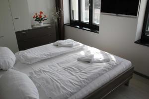 Strandresidenz Appartement Silbermöwe V22 inklusive 1 Strandkorb