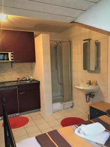 Appartement Studentenwohnung 34 Ackerweg Gianlucas Ferienparadies 78476 Allensbach Bade-Wurtemberg